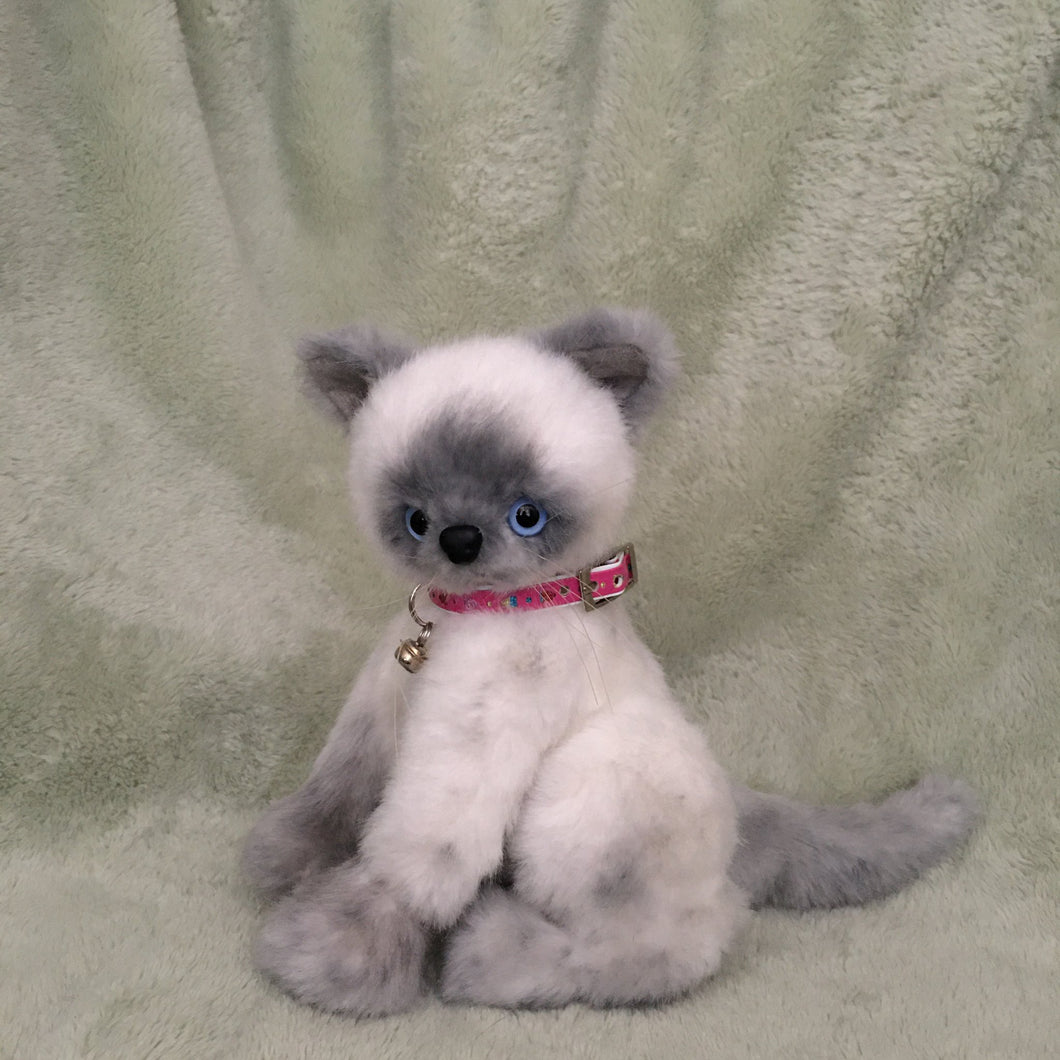 Dimity - Hand made collectable kitten