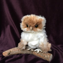 Load image into Gallery viewer, Toto - owl making kit
