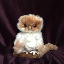 Load image into Gallery viewer, Toto - Hand made collectable baby owl
